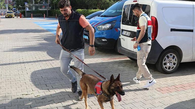 Denizli Barosuna operasyon Baro başkanı dahil 12 avukat gözaltında