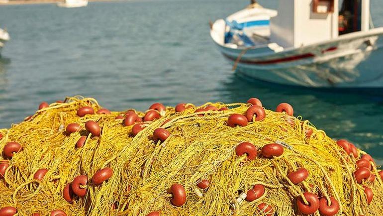Bir haftada ikinci vaka Deniz kaplumbağalarına acımasız infazın şifresi: Ağ intikamı