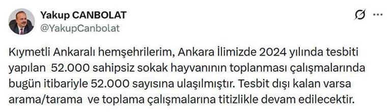 Ankara Valisi Canbolat açıkladı 52 bin sahipsiz sokak hayvanı toplandı