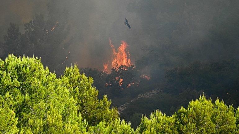 Fransa’nın güneyi alevlere teslim 900 hektar kül oldu, itfaiye erleri zehirlendi