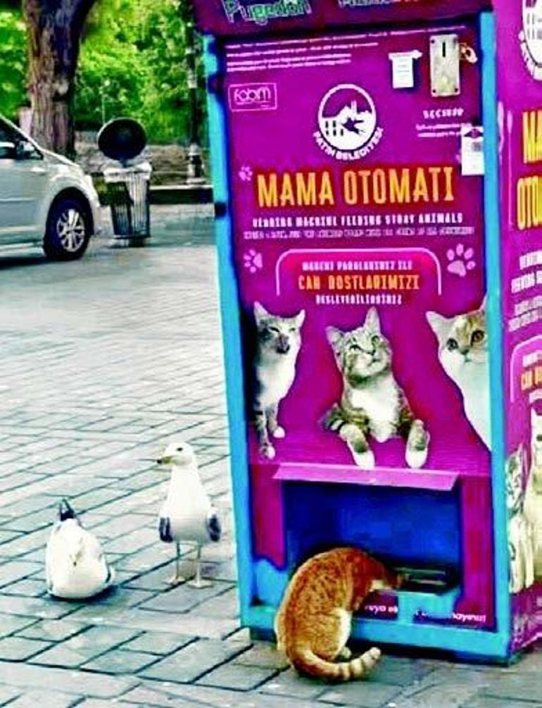 Doğanın koruyucusu Türkler