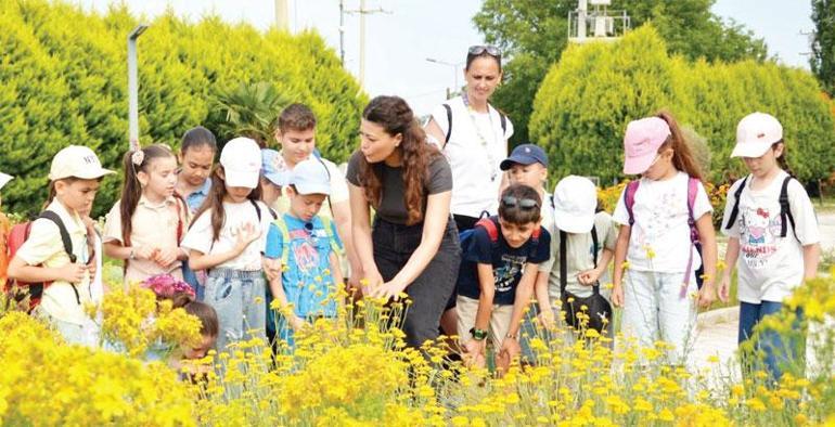 Açıkhava sınıfına dönüşen kentler