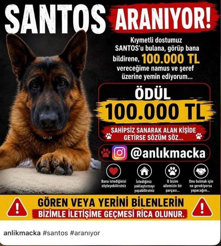 25 gündür kayıp olan Santos için 100 bin lira ödül O bizim evladımız