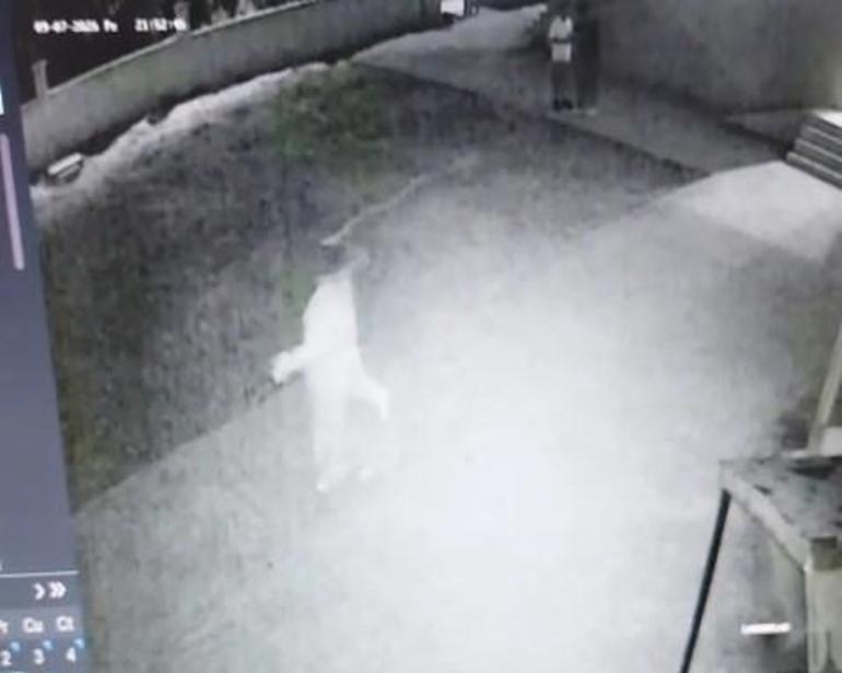 Cami avlusunda uygunsuz davranış İmam, genç çifti uyarınca darbedildi