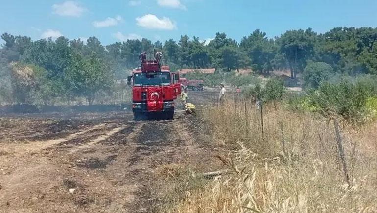 Balıkesirde peş peşe korkutan yangınlar Ekipler seferber oldu: Havadan ve karadan mücadele edildi