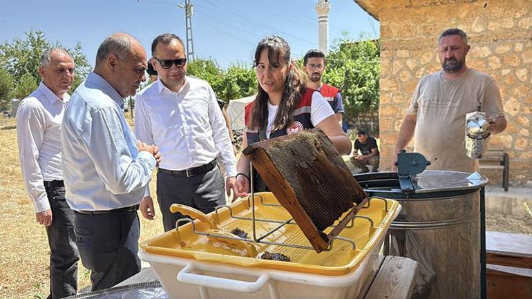Erciyes’in dört mevsim bereketi