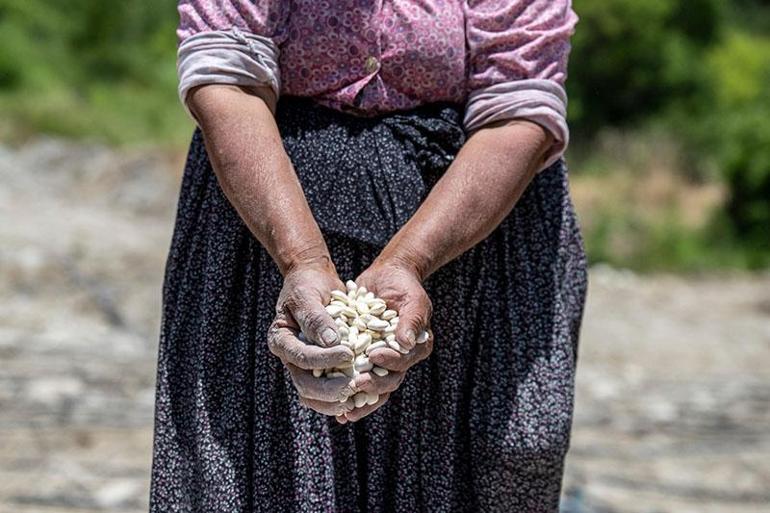 Üniversite yolunda sıcak bir karşılama