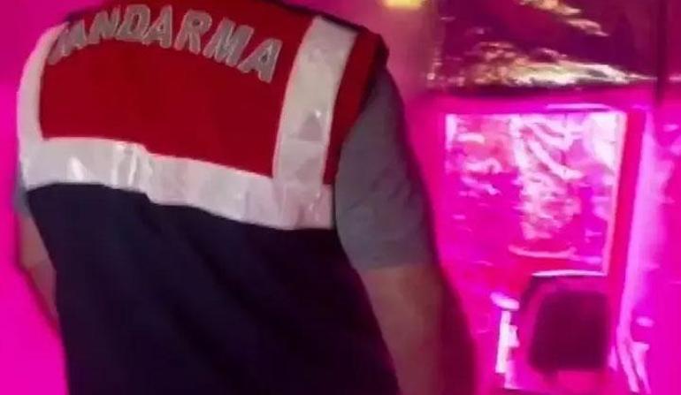 Yönetmen Ezel Akay uyuşturucu operasyonunda gözaltına alınmıştı, serbest bırakıldı