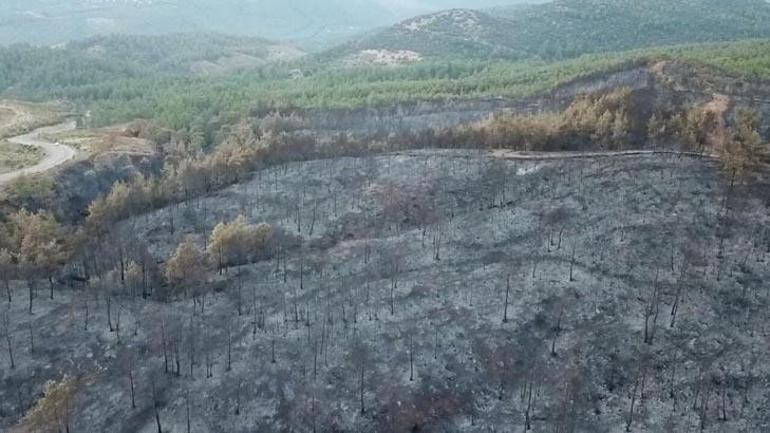 Muğlada ciğerlerimiz yandı 5 bin hektardan fazla alan kül oldu