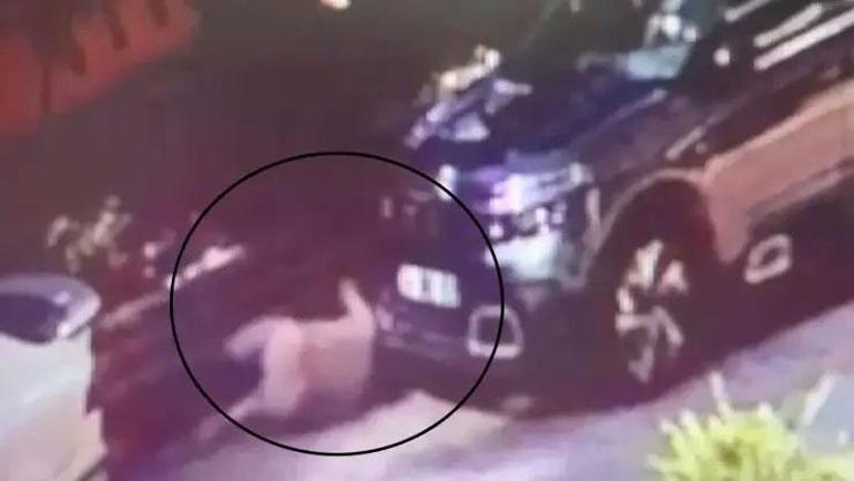 Şüpheli ölüm Markete gidiyorum diyerek evden çıktı, sitede cansız bedeni bulundu
