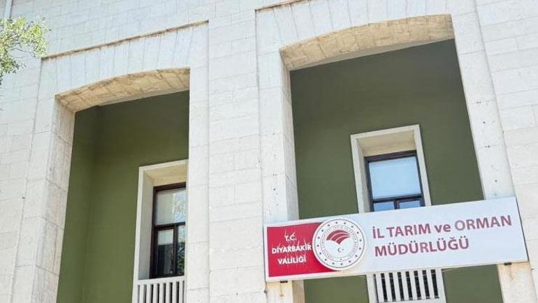 Büyük tehlike 4 ay sonra ortaya çıktı Kuduzda korkutan gerçek: 1 yıl sonra bile öldürebilir