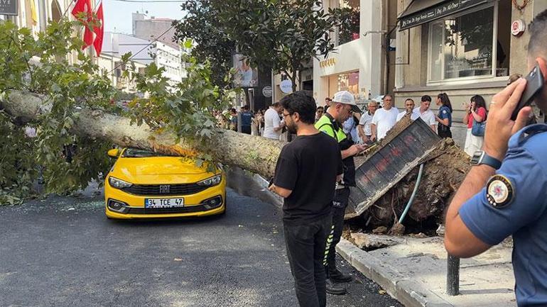 Nişantaşında çınar ağacı taksinin üzerine devrildi, yol trafiğe kapandı