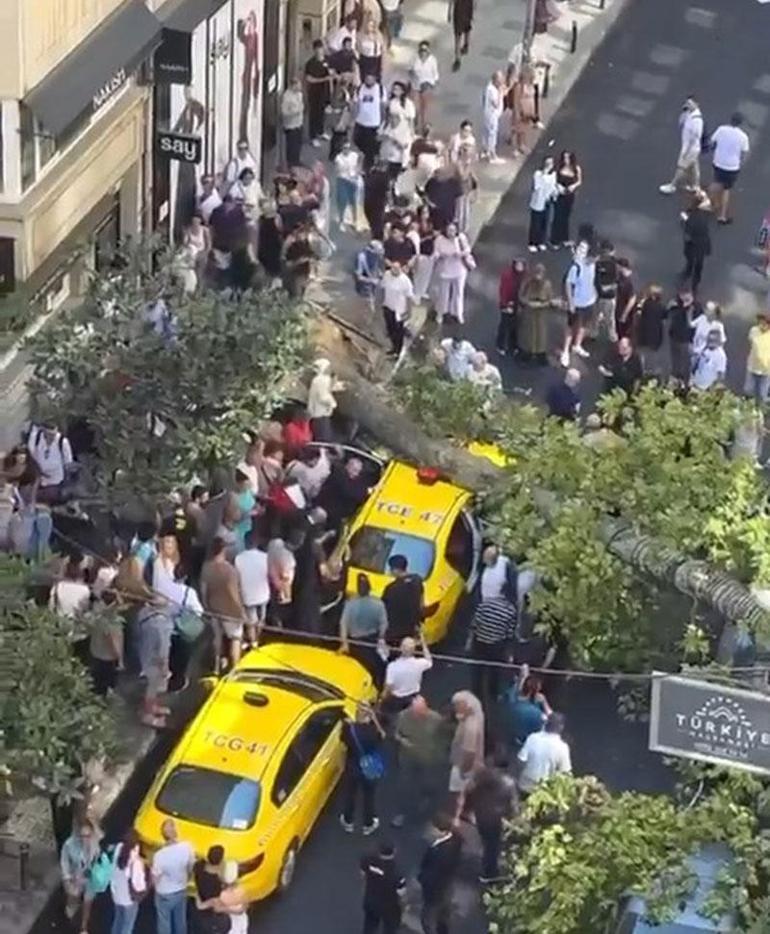 Nişantaşında çınar ağacı taksinin üzerine devrildi, yol trafiğe kapandı