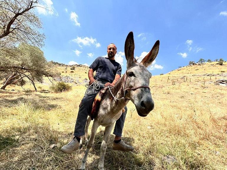 Kayıp eşeğini yediemin otoparkında buldu Gelen linkle şoke oldu