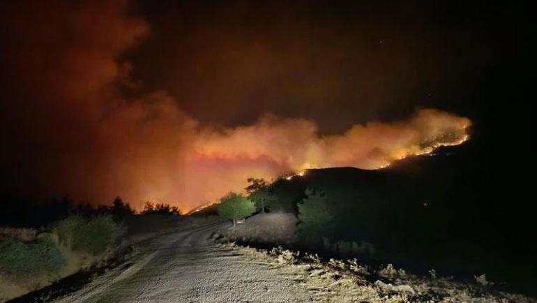 Antalya ve Adanada orman yangınına müdahale devam ediyor: Evler tahliye edildi