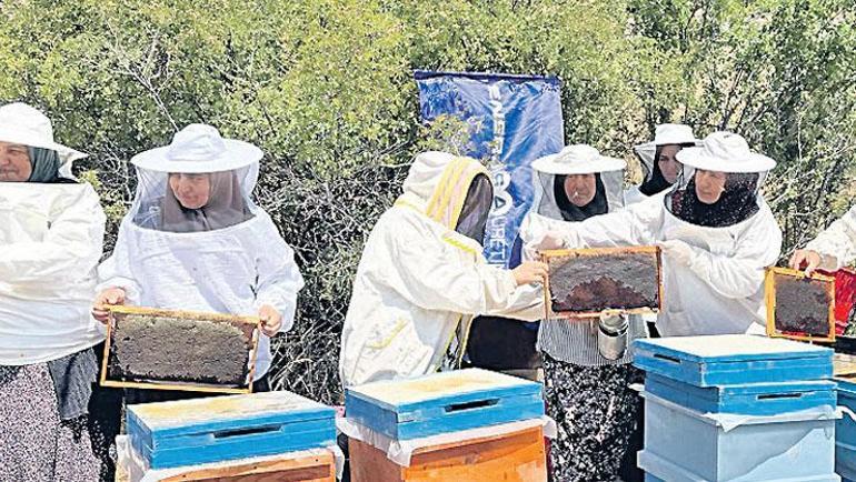 İsraf olacak meyveleri iş fırsatına dönüştürdü
