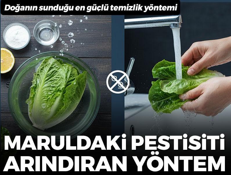 Maruldaki pestisiti saniyeler içinde arındırıyor! Sirke ya da karbonattan 10 kat daha etkili
