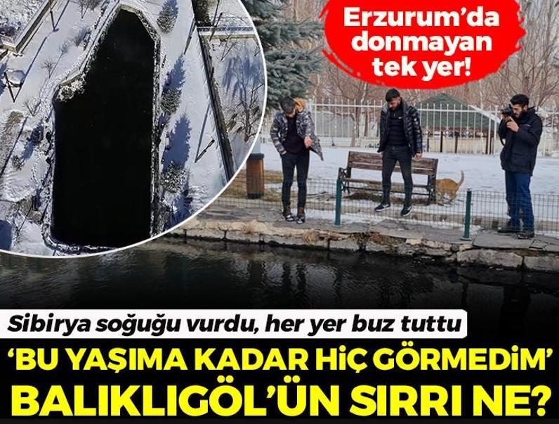 Sibirya soğuğu vurdu, her yer buz tuttu! Erzurum’da donmayan tek yer: Balıklıgöl'ün sırrı ne?