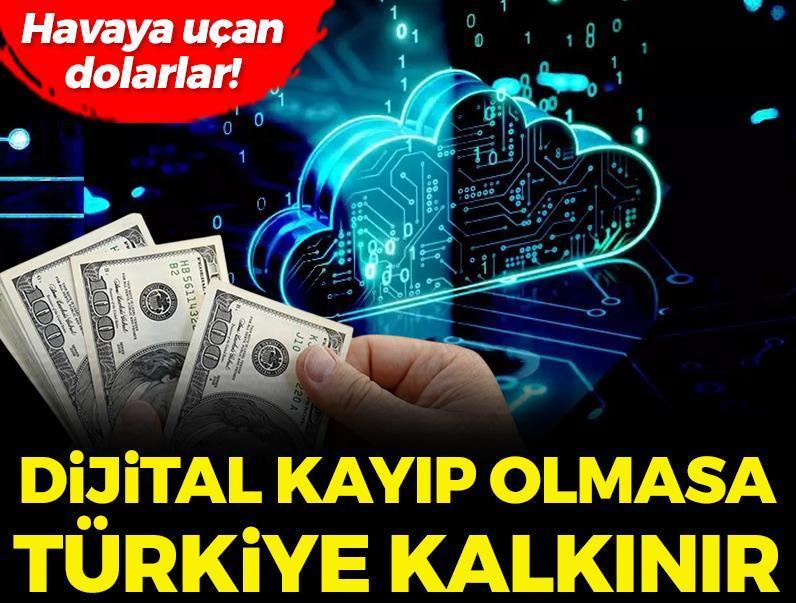 Havaya uçan dolarlar! Dijital kayıp olmasa Türkiye kalkınır