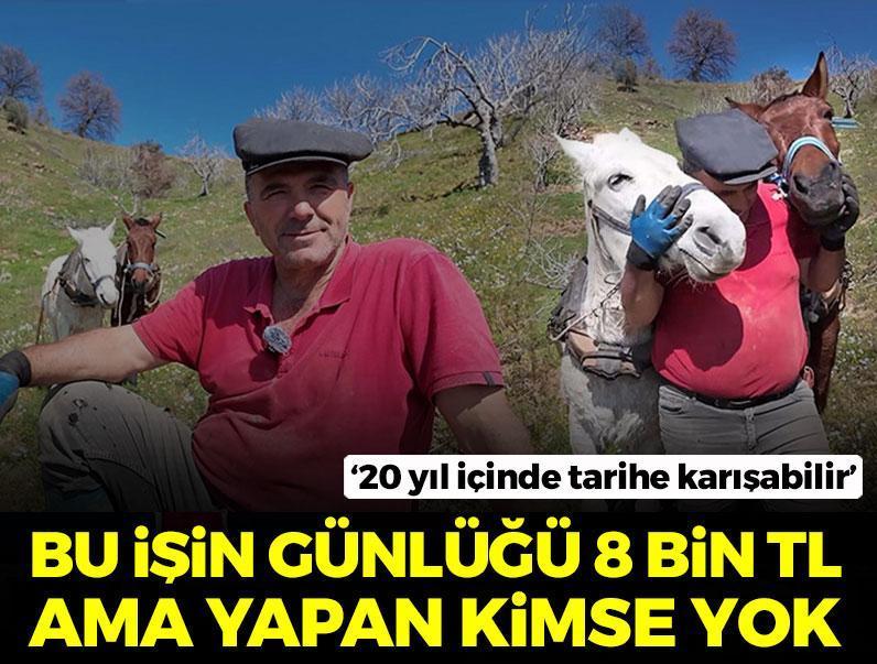 Günlüğü 8 bin TL ama yapan yok: 20 yıl sonra tamamen bitebilir