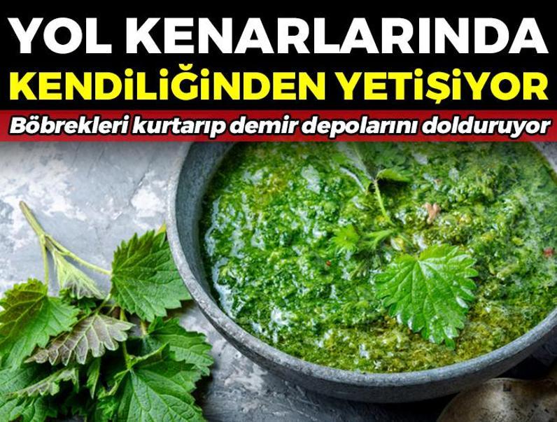 Yol kenarlarında kendiliğinden yetişiyor! Çorbasını kaşık kaşık için: Böbrekleri kurtarıp demir depolarını fullüyor!