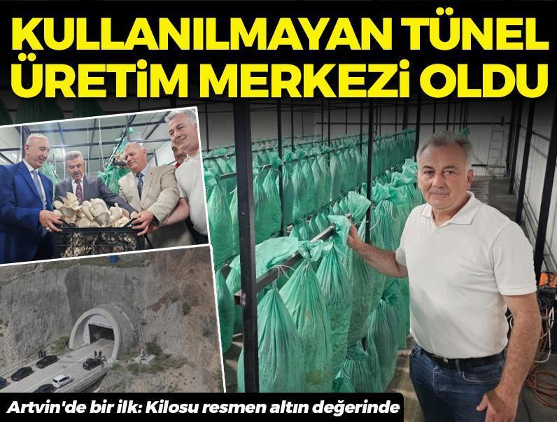 Karanlık tünelden bereket taştı! Artvin'de bir ilk: Kilosu resmen altınla yarışıyor