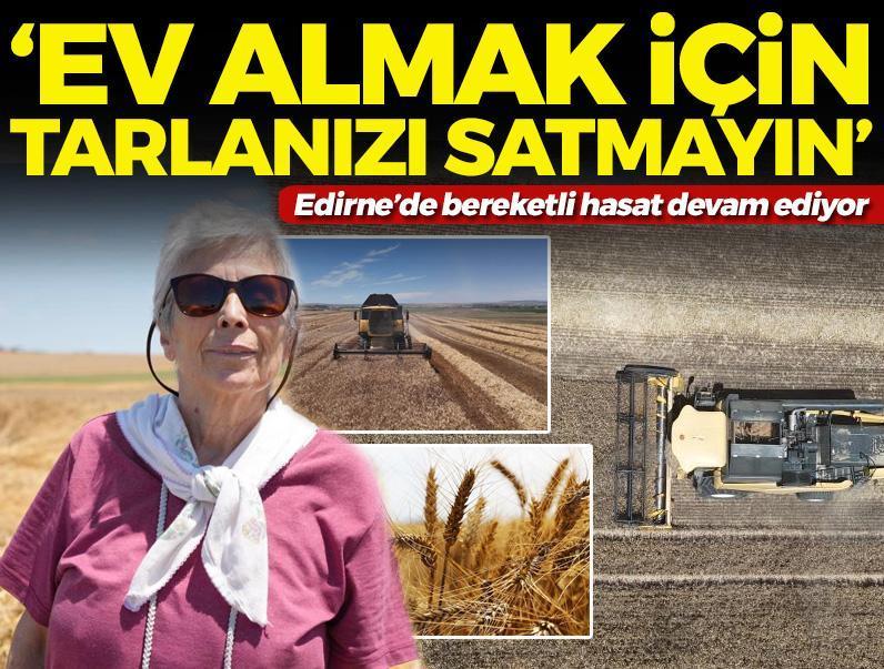 Edirne'de hasadı devam ediyor! Verim yüksek, çiftçi mutlu: 'Ev almak için tarlanızı satmayın'
