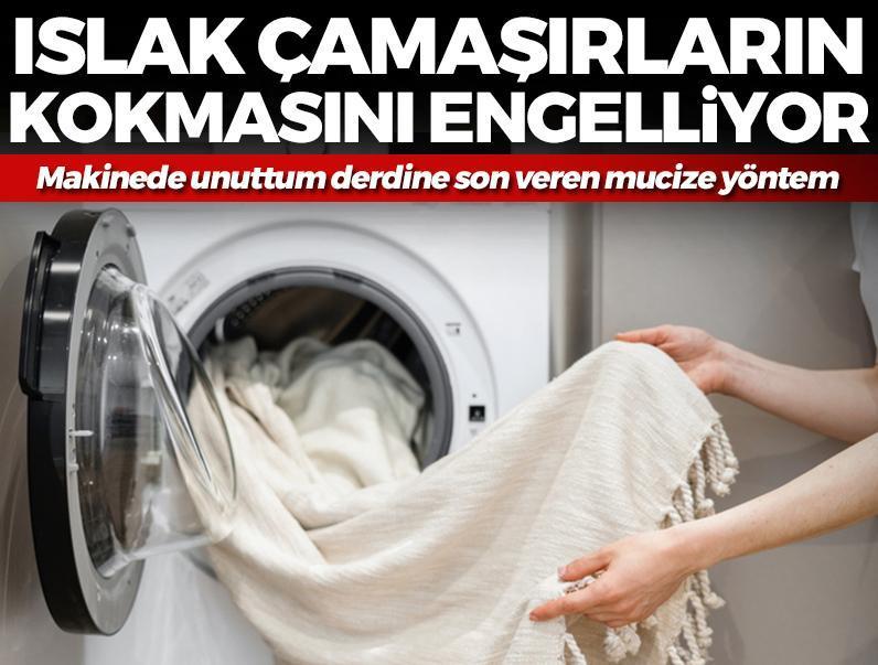 Islak çamaşırların kokmasını engelliyor! Makinede unuttum derdine son veren kurtarıcı yöntem