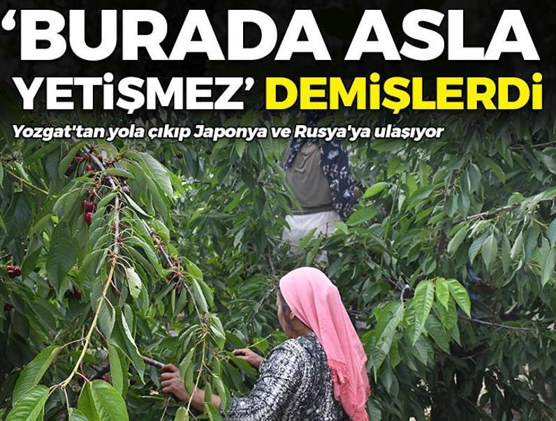 'Burada yetişmez' demişlerdi! Yozgat'tan yola çıkıp Japonya ve Rusya'ya ulaşıyor