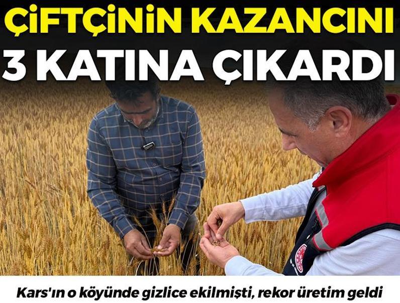 Çiftçinin alın terini tam 3 katı yüksek kazanca dönüştürecek!Kars'ın o köyünde gizlice ekilmişti, rekor üretim geldi