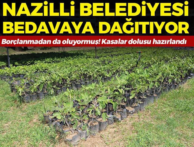 Borçlanmadan da oluyormuş! Kasalar dolusu hazırlandı: Nazilli Belediyesi köylülere bedava dağıtıyor...