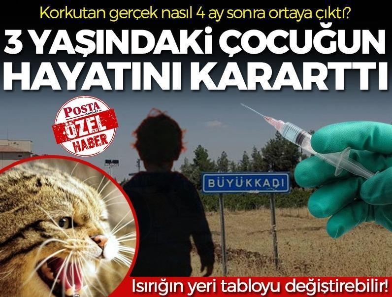 Büyük tehlike 4 ay sonra ortaya çıktı! Kuduzda korkutan gerçek: '1 yıl sonra bile öldürebilir'