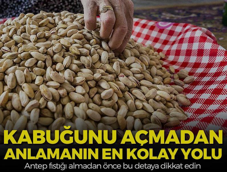 Antep fıstığının iyisi nasıl anlaşılır? Kabuğunu açmadan bile belli oluyor