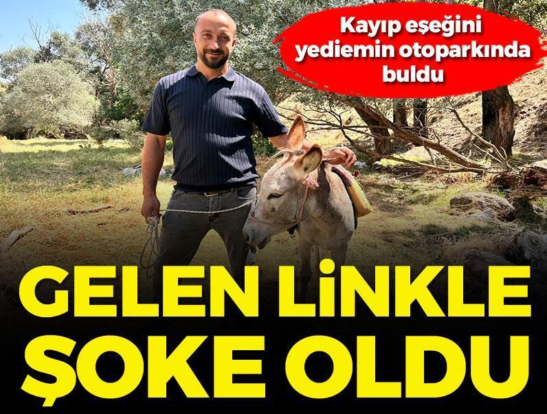Kayıp eşeğini yediemin otoparkında buldu! Gelen linkle şoke oldu