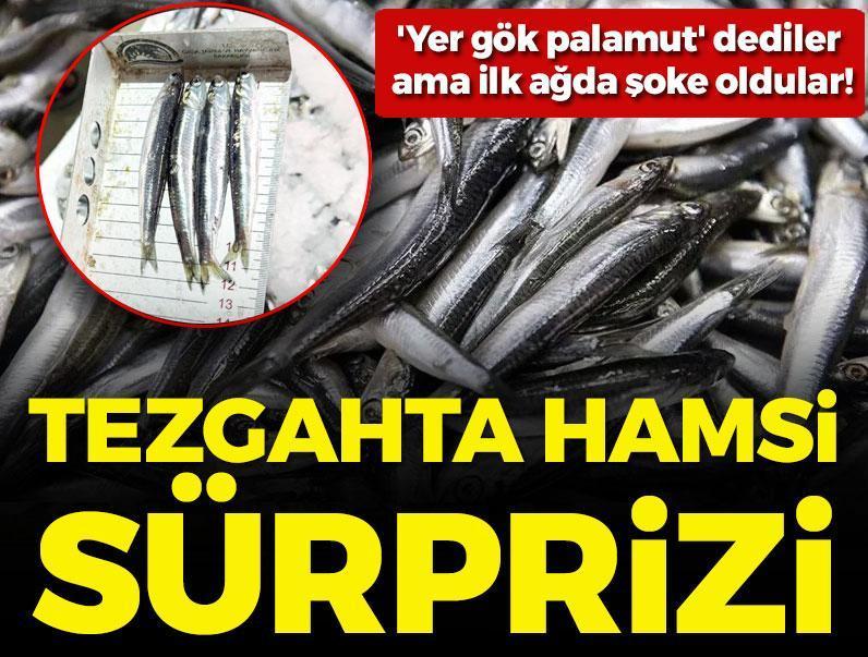 '​Yer gök palamut' dediler ama ilk ağda şoke oldular! Tezgahta hamsi sürprizi